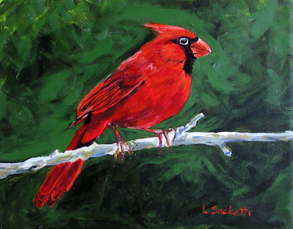 Red cardinal prints and merchandise | Linda Sacketti