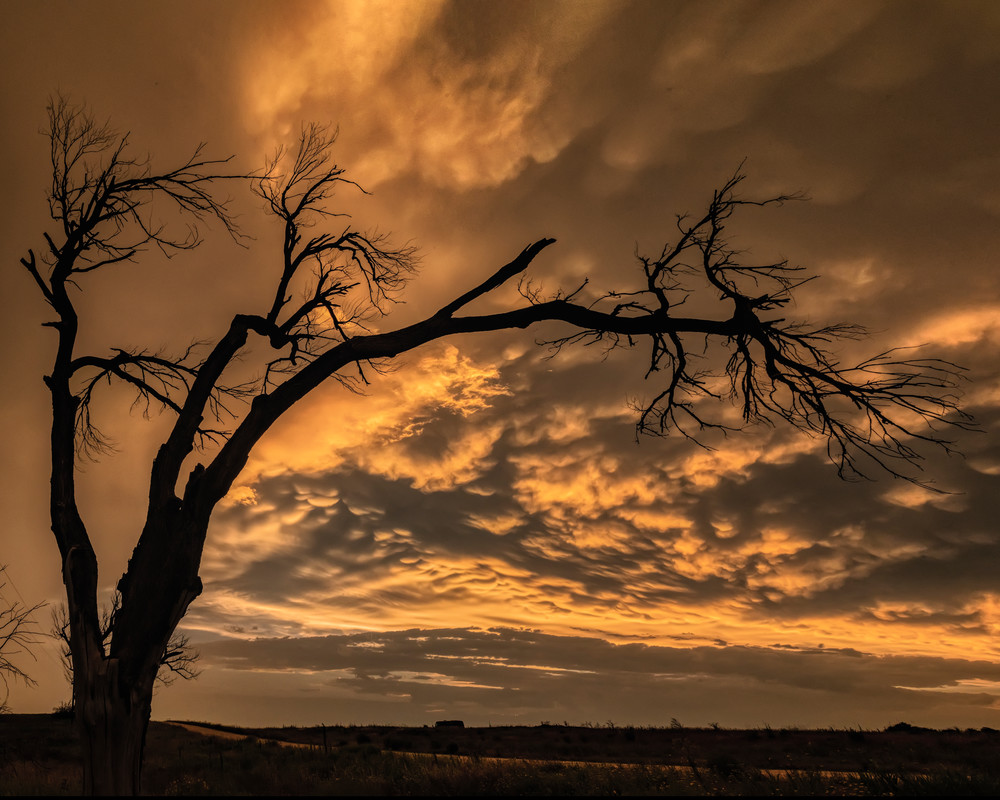 Texas Storm Sunset Art | Jim Livingston Art