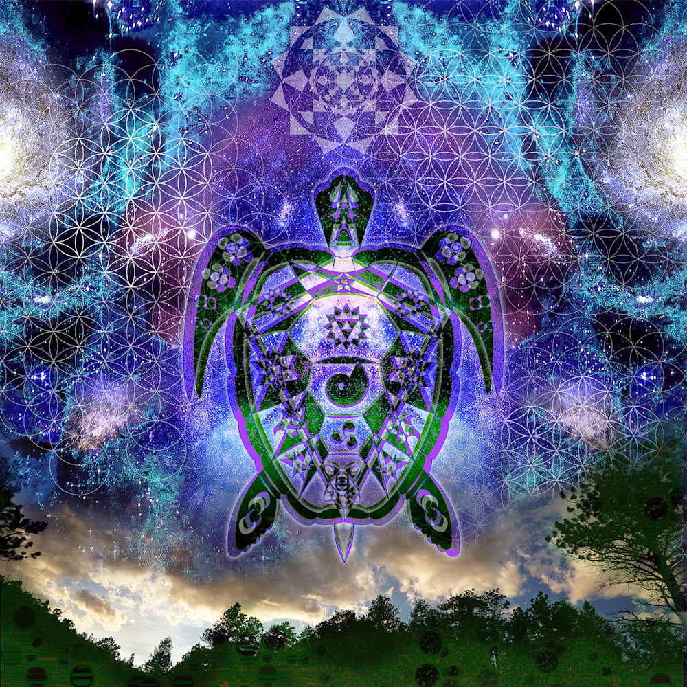 Gaia Turtle Art | Studio SpaceTime