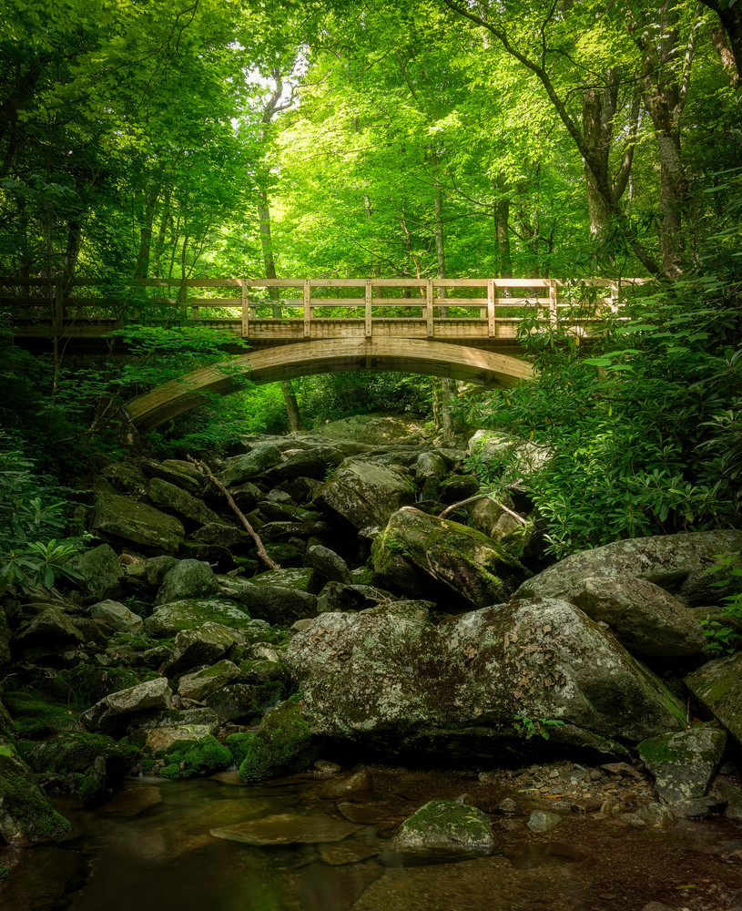Beautiful Forested Mountain Bridge Print