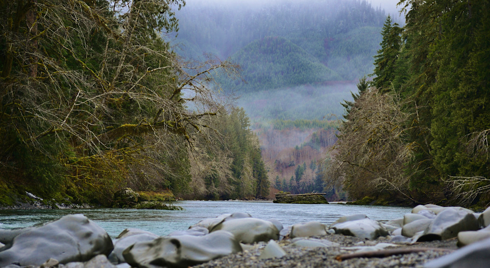 Spectacular Scenic Shot On The Hoh River Feb 2013 Photography Art | Fly Fishing Portraits