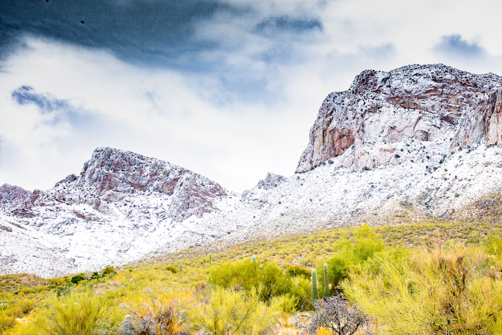 Snow/Foliage Distinction Art | JRootGallery.com