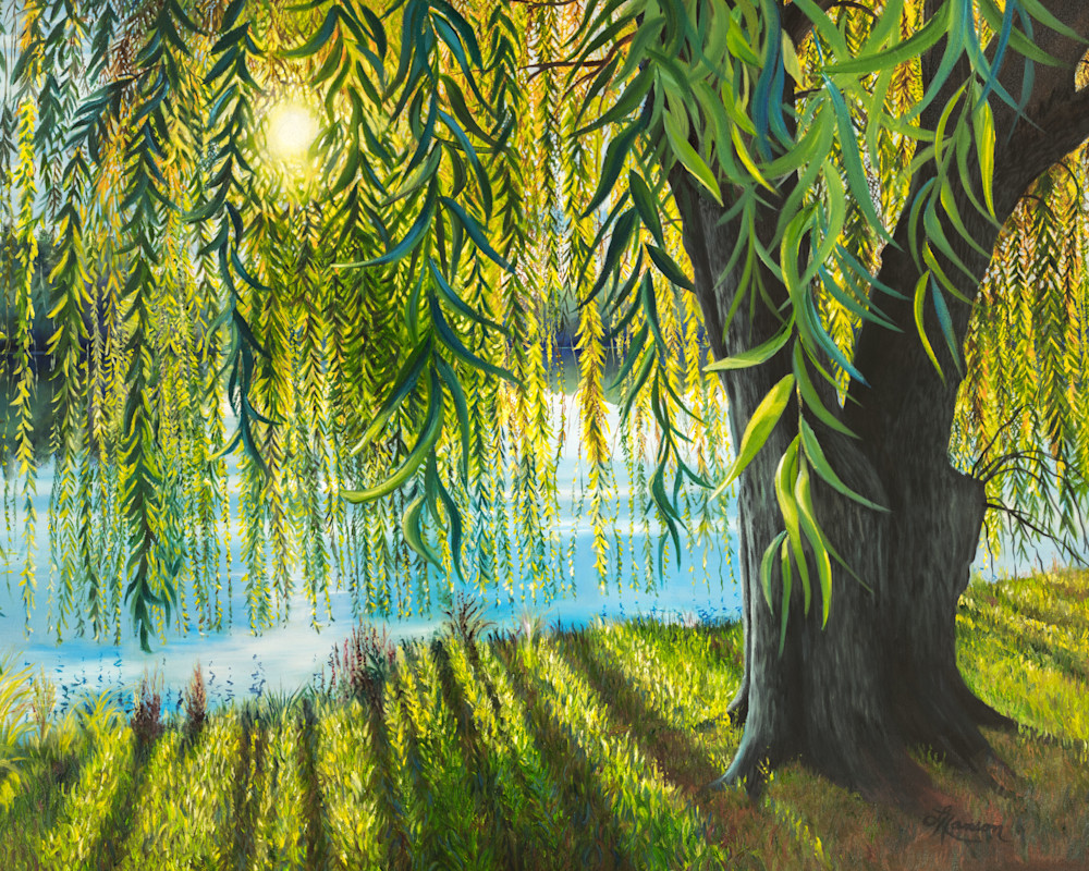 Willow Sunrise Art | Leanne Hanson Art