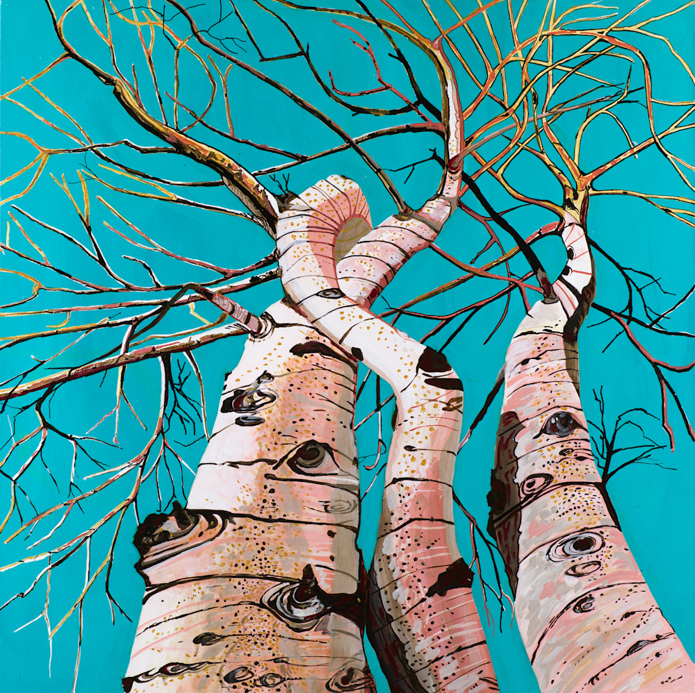  Winter Cottonwoods And A Turquoise Sky Art | Pamela Trueblood Fine Art