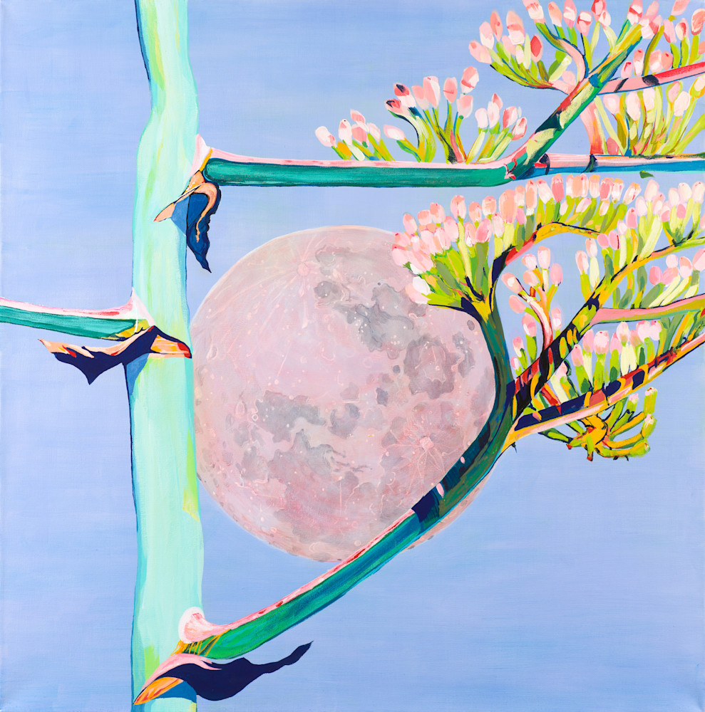 Century Pink Moon Art | Pamela Trueblood Fine Art