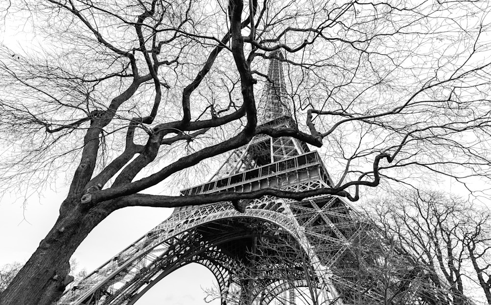 Wild Eiffel  Photography Art | Visual Arts & Media Group Corporation 