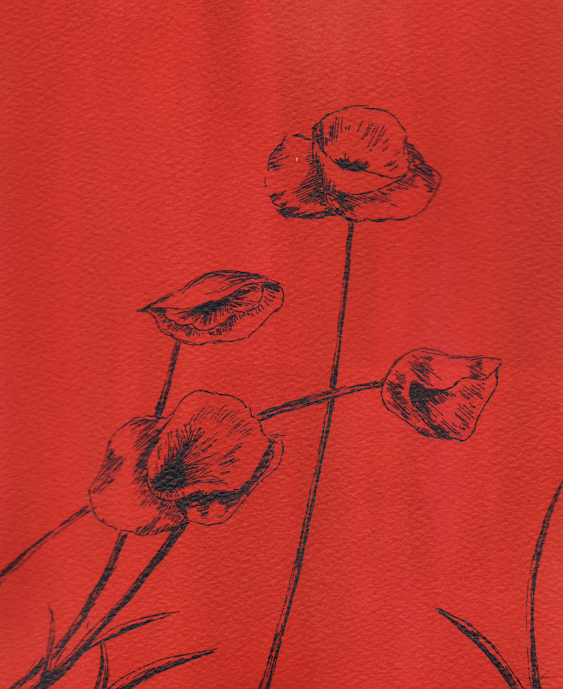 Poppies Art | hellerink