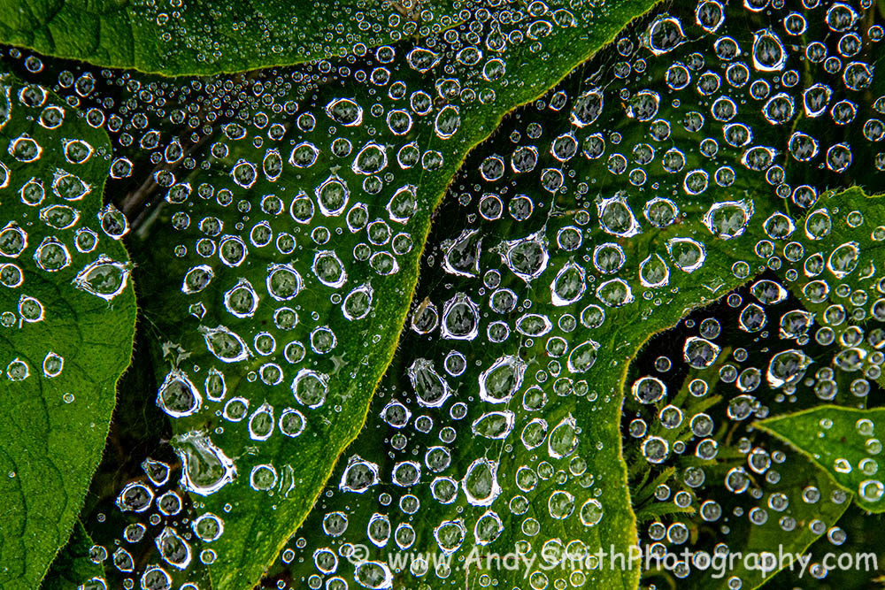 More Floating Drops Art | Andy Smith Photography