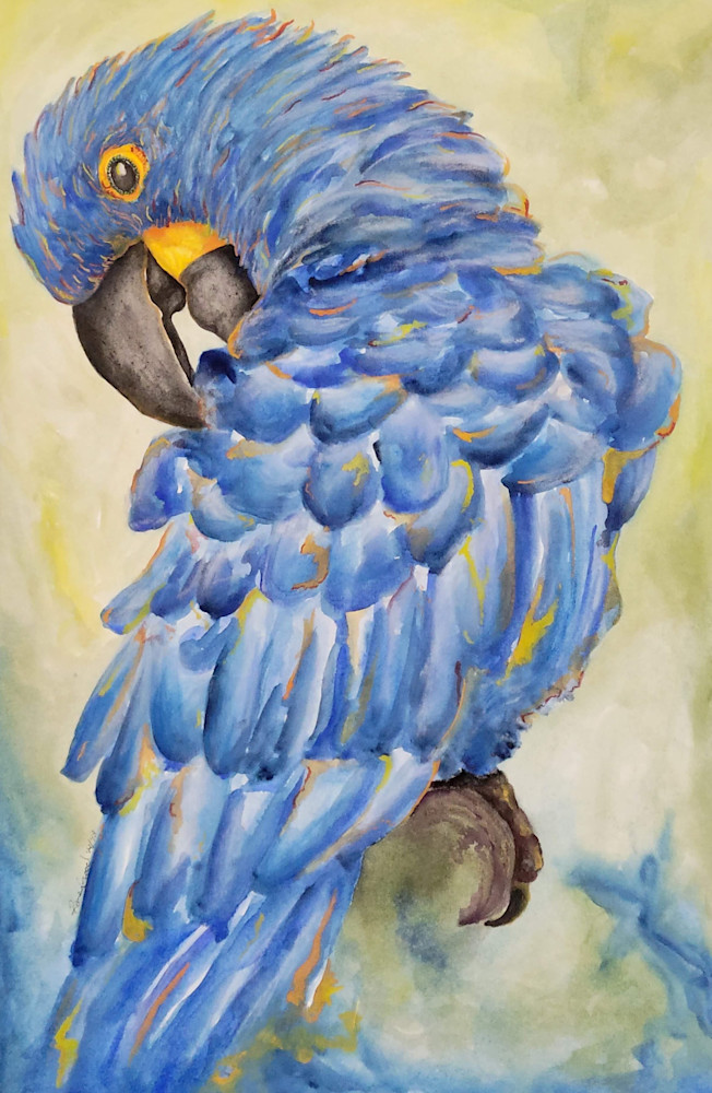 Hyacinth Macaw Art | Art by Raney Good