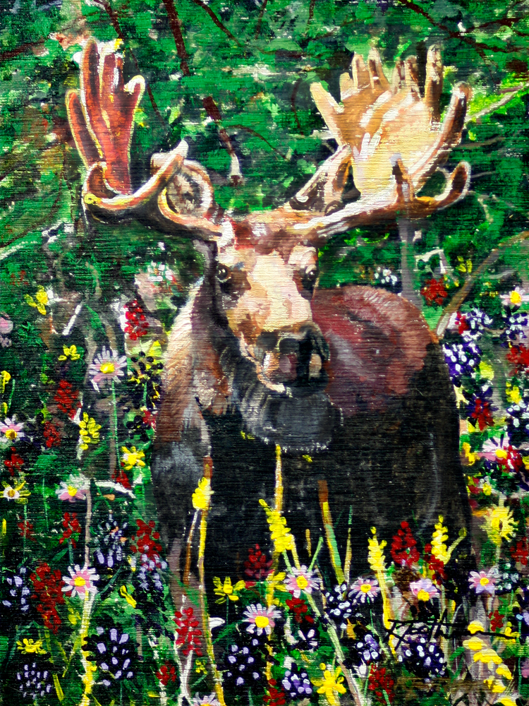 KIKI.GALLERY |  Magnificent Moose by Rodger E.Toothman