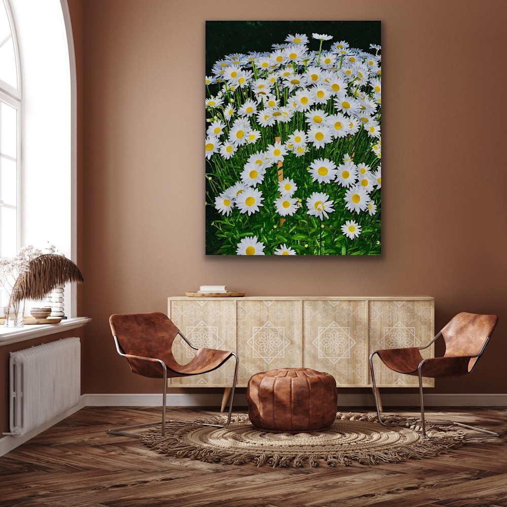 Daisies On The Wall Photography Art | Visionary Adventures, LLC