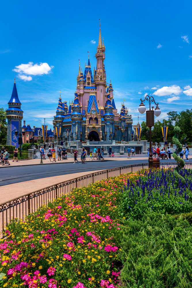 50th Anniversary Cinderella's Castle From The Hub Photography Art | William Drew Photography