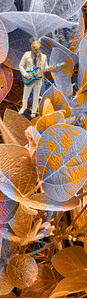 One Pea Plays Jazz Art | Paula Acheson