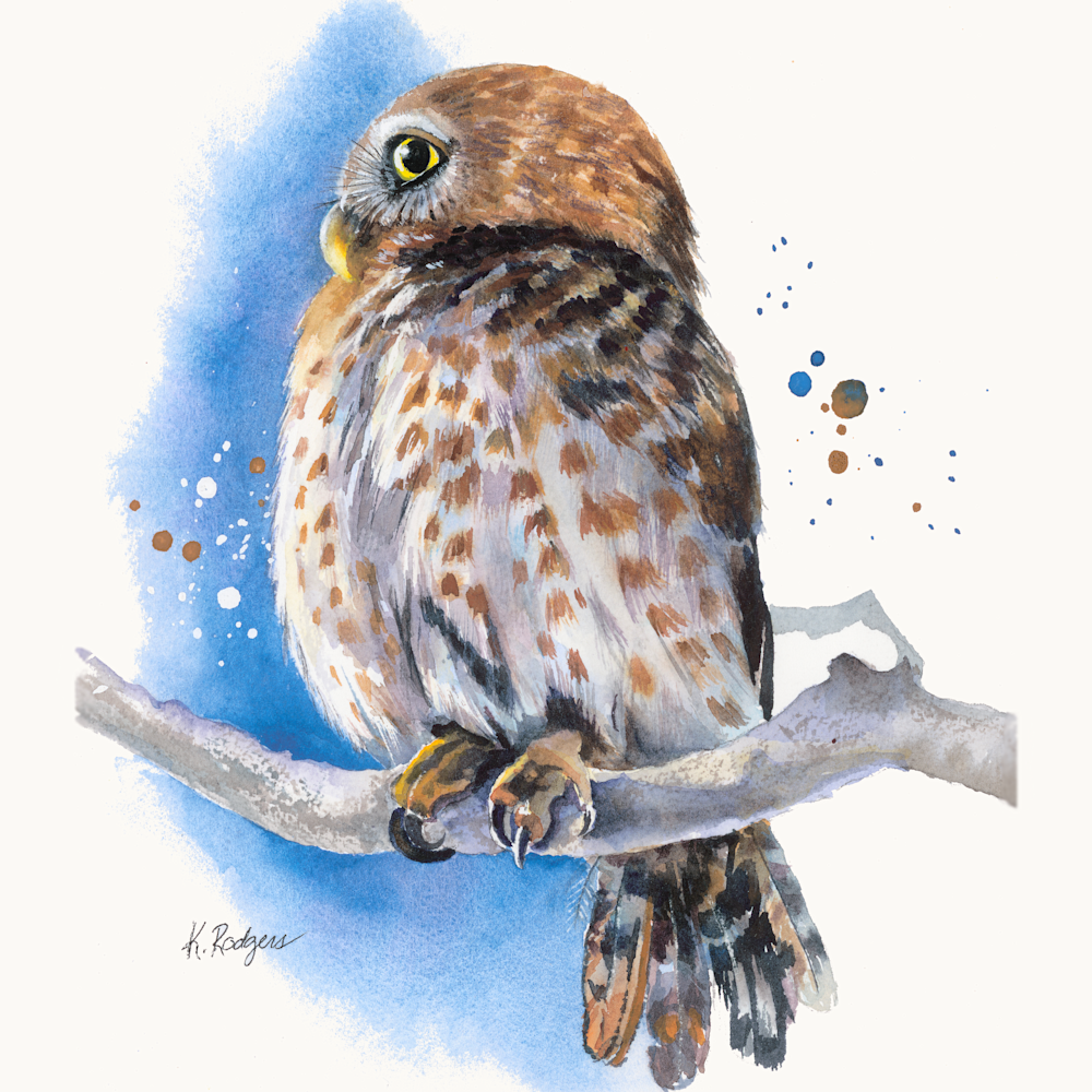 The Cuban Pygmy Owl Tote Art | Katherine Rodgers Fine Art