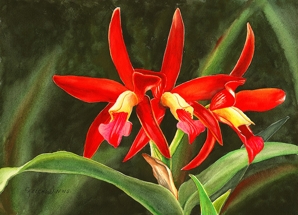 Orchid In Red Art | Christine Reichow Inc.