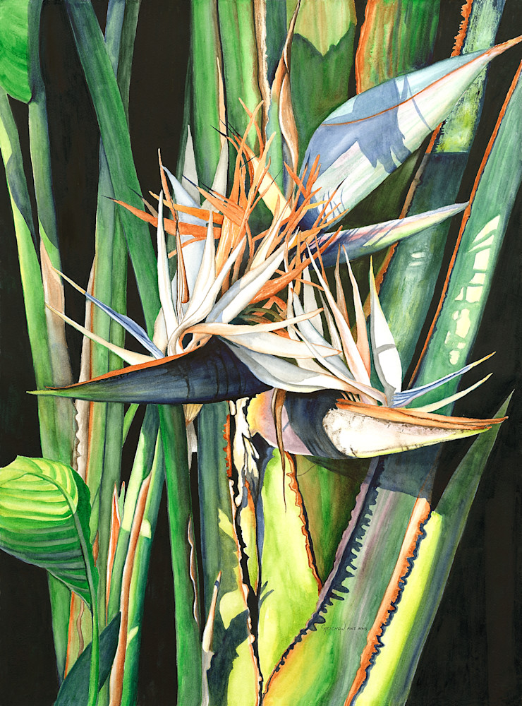 Untamed Art | Christine Reichow Inc.
