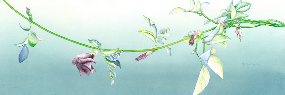 Soft Blossoms Art | Christine Reichow Inc.