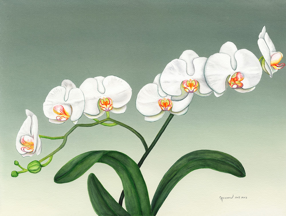 Bettes Orchids Art | Christine Reichow Inc.