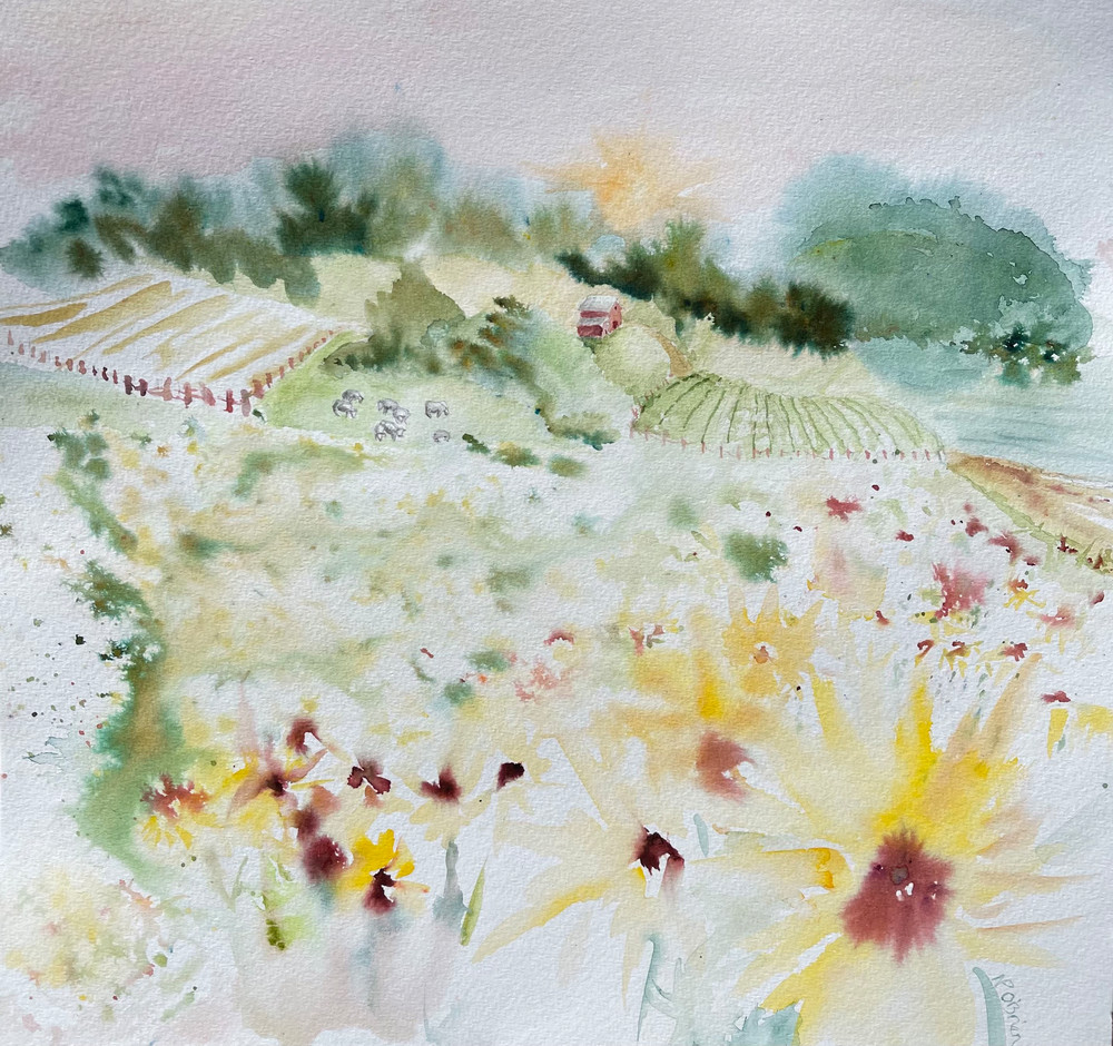 Sunflower Prairie And Farm Fields Art | Color Splash Ranch