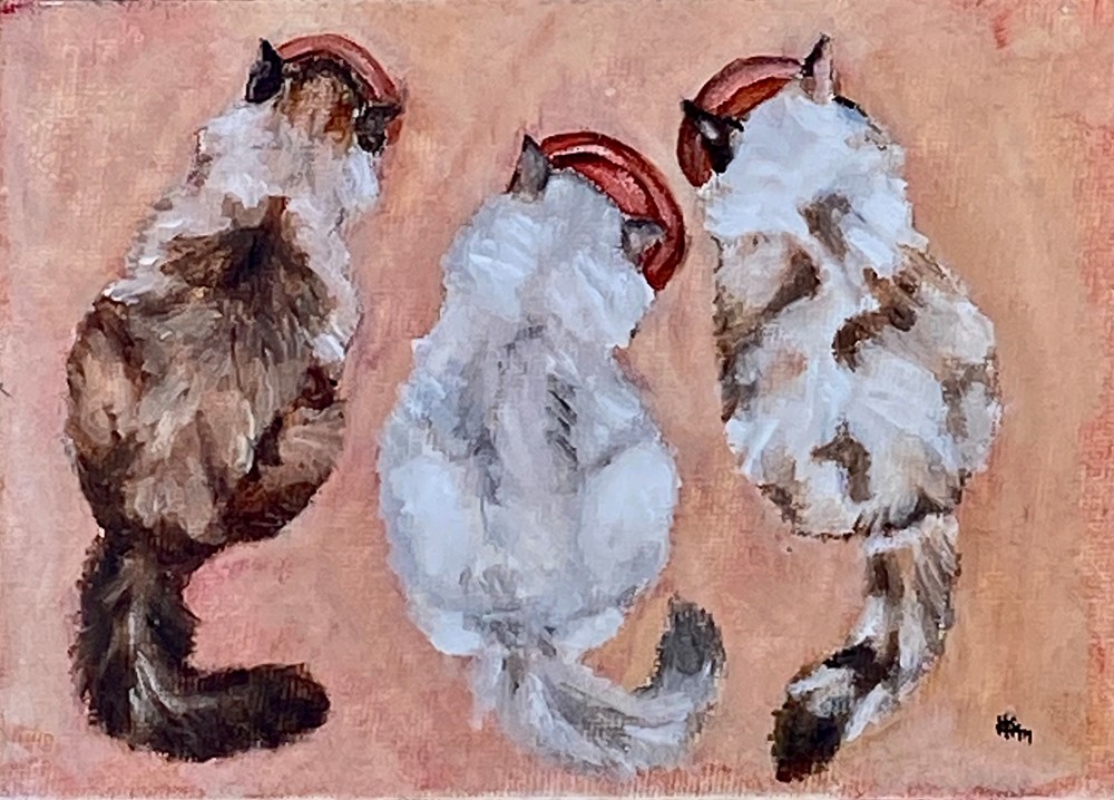 A lovely image of three fluffy rag doll cats in a row.