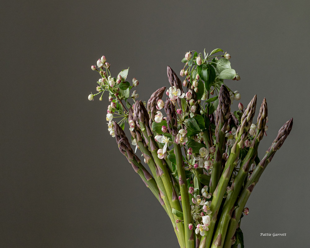 Asparagus With Spring Flowers Art | TC Gallery