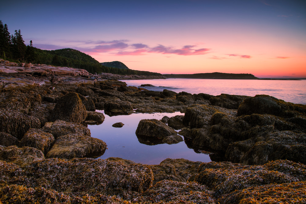 Sunrise at Ocean Path - Acadia National Park fine-art photography prints