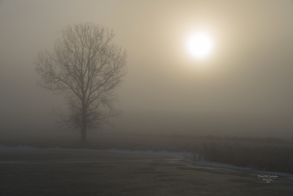 Frozen, Foggy Morning Solitude Photography Art | David W Schafer