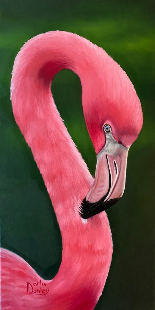 Fancy Flamingo Art | darladonleyart