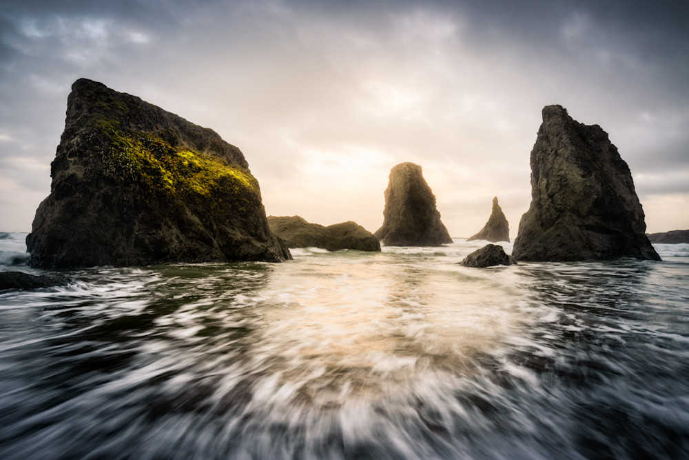 Oregon Coast Xxviii Photography Art | Michael Schober Photography