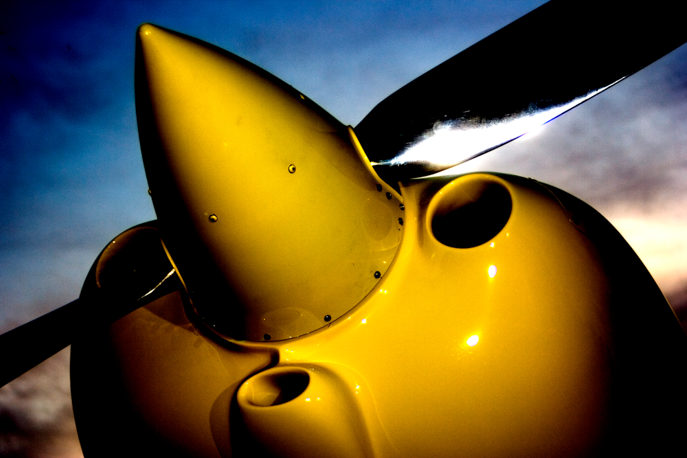 Swift Fury/Lo Presti Fury Yellow Nose  Art | LoPresti Art Gallery