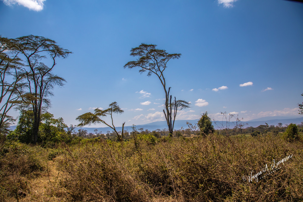 Tanzania Landscape Photography Art | waynesimpson