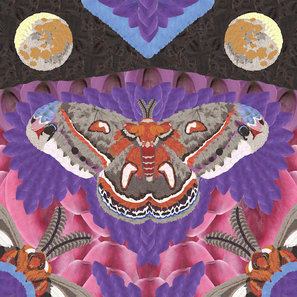 Moths And Moon Art | smacartist