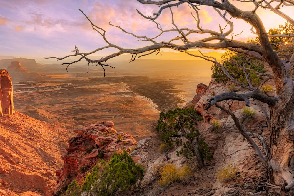 Buck Canyon, Utah | Landscape Photography | Tim Truby 