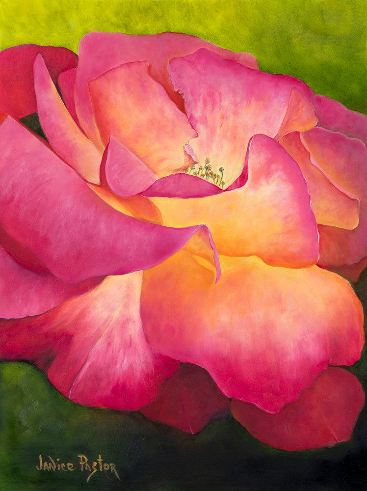 A Rose By Another Art | Janice Pastor Fine Art