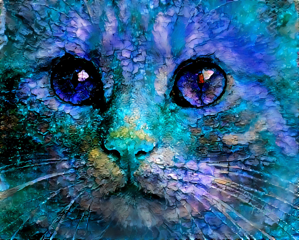 Cat Cyan Art | Jacob Folger Artist