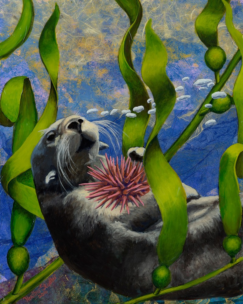 Saving The Kelp Forest Art | Art by Heather Stadler