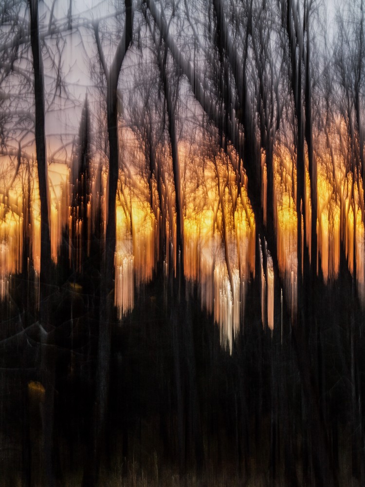 Sanctuary  Photography Art | Audacine Inc.