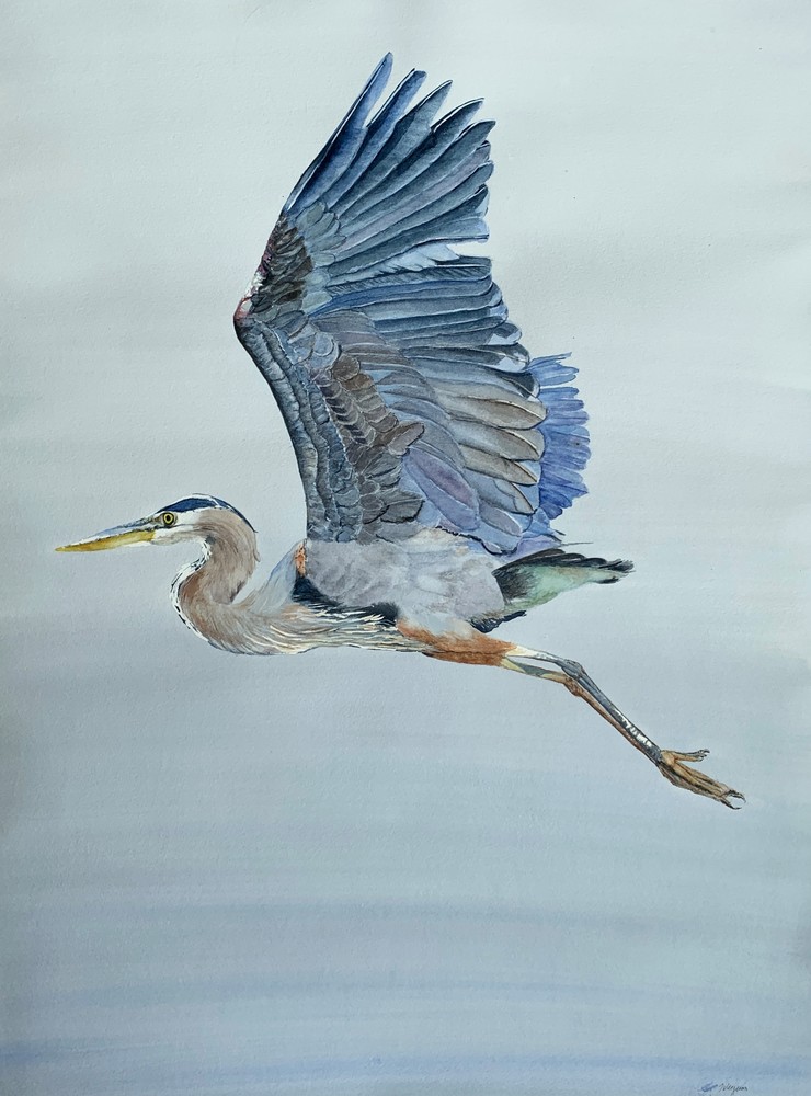 Great Blue Heron Into the Blue