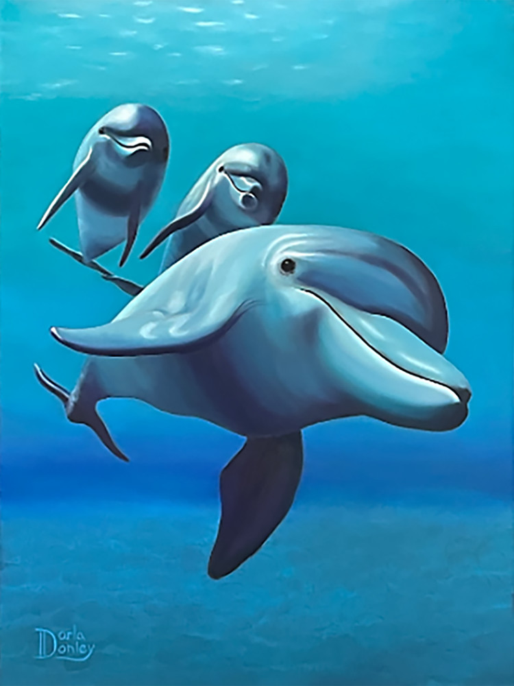 Three Amigos   Dolphins  Art | darladonleyart