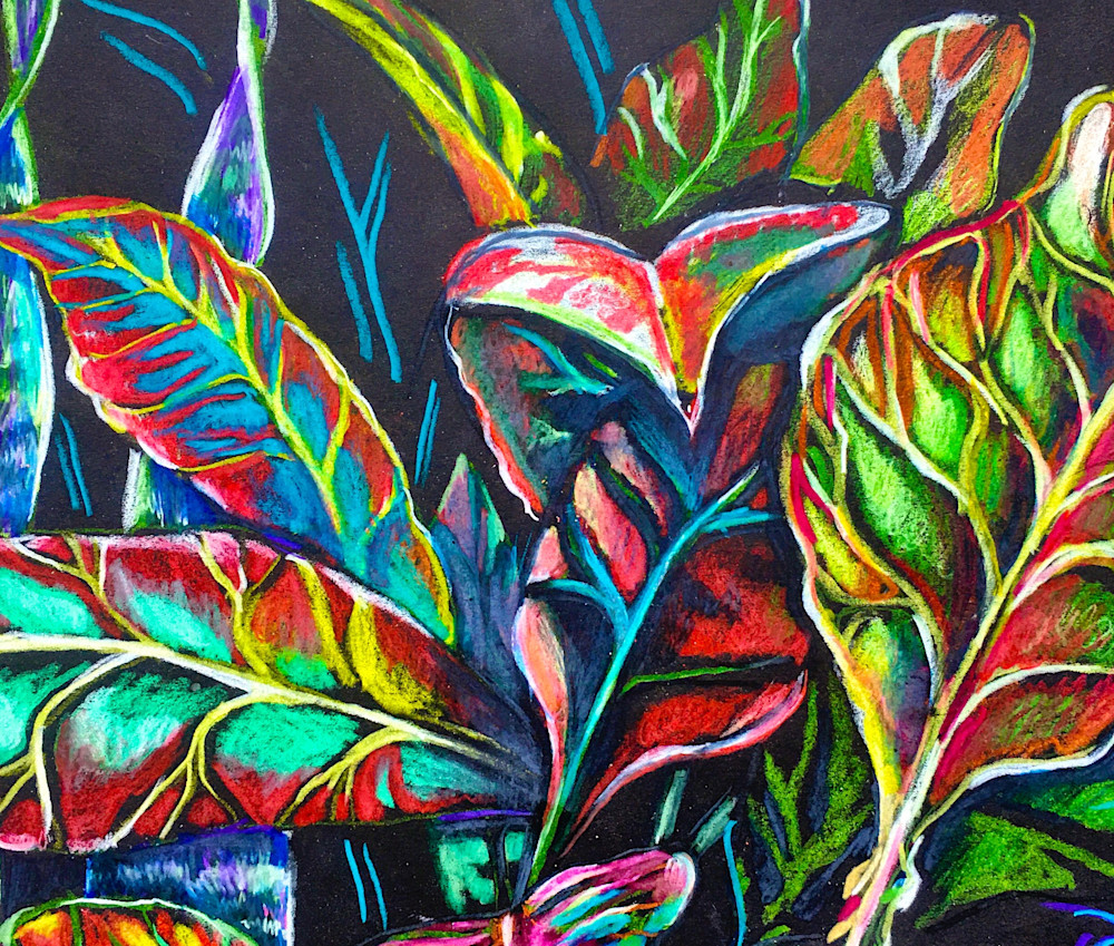 Croton Art | annewhitehurst