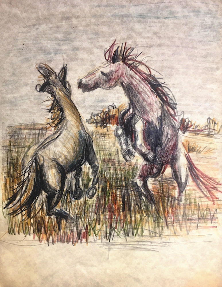 Sparring Stallions Art | annewhitehurst