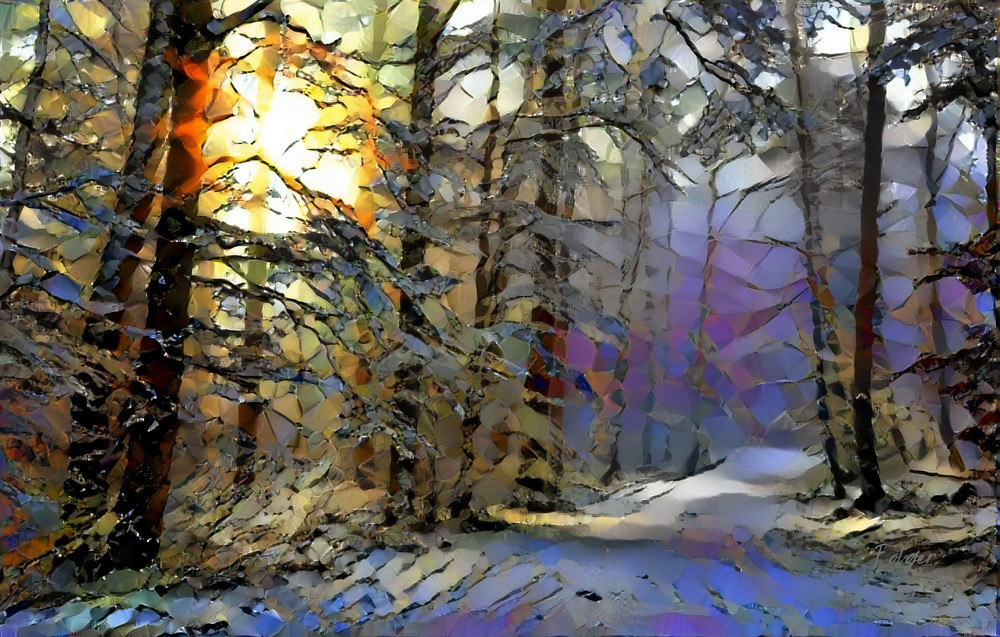 First Sun Forest Art | Jacob Folger Artist