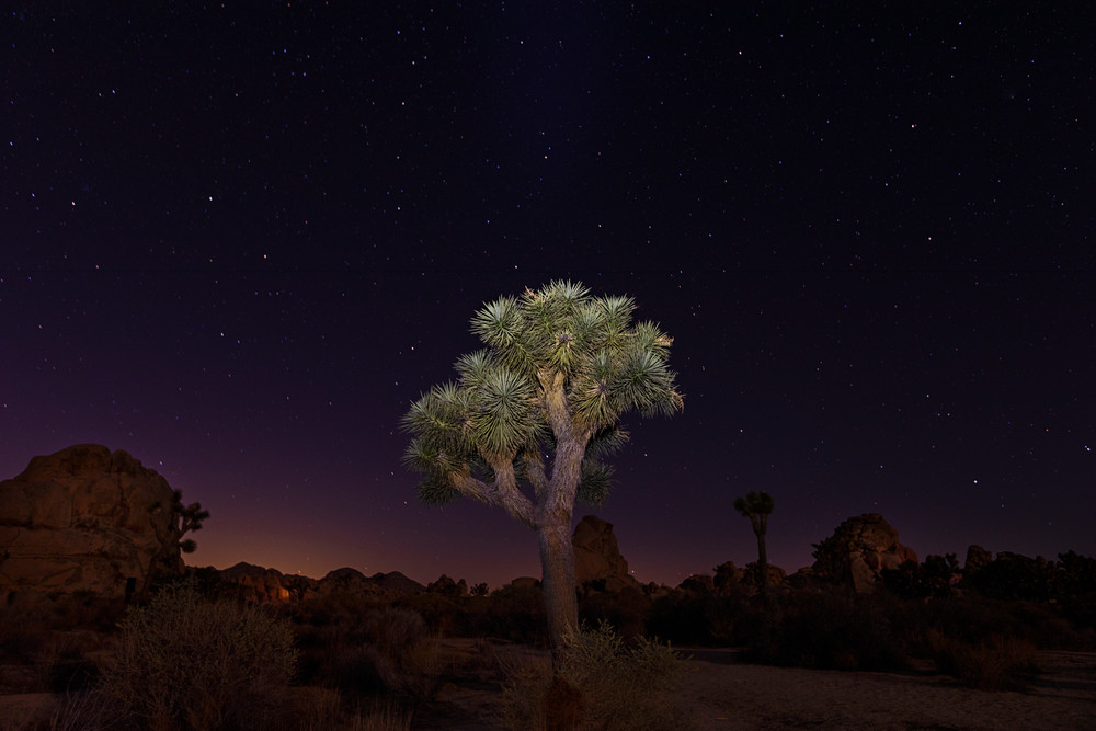Desert Nights Ii Photography Art | Goswick Fine Art Photography