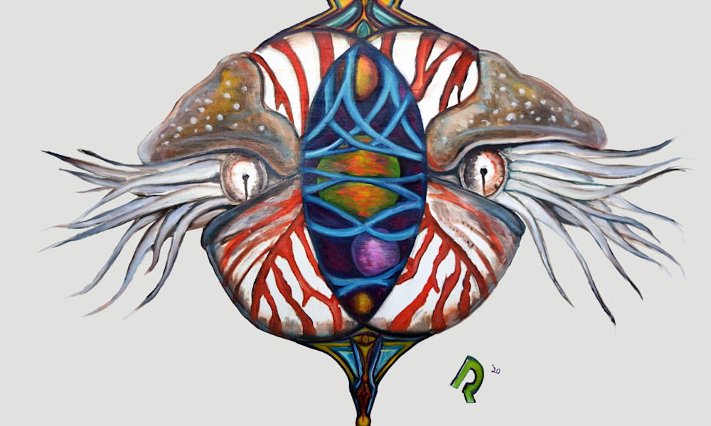 The Nautilus Art | Dpqstudios