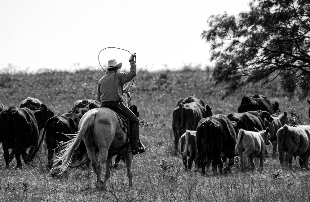 File Name : DSC_9451.JPG
File Size : 2.4MB (2502197 Bytes)
Date Taken : 2002/05/14 20:55:19
Image Size : 3008 x 1960 pixels
Resolution : 300 x 300 dpi
Bit Depth : 8 bits/channel
Protection Attribute : Off
Hide Attribute : Off
Camera ID : N/A