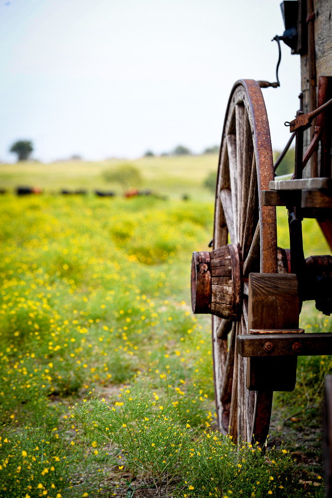 Wagon Wheel Morning Photography Art | JoeDuty.com