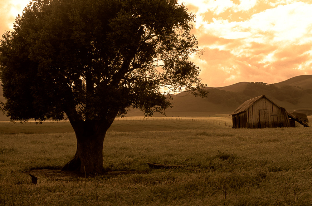 California Farm Photography Art | Addario Photography