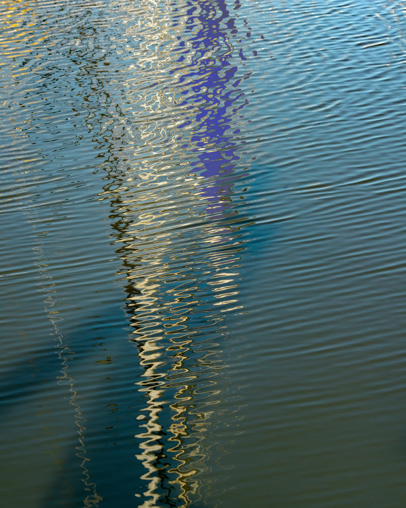 Reflections in Water