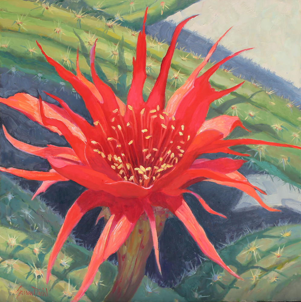 Cactus Flower 6 Art | Diehl Fine Art