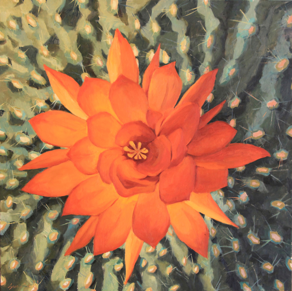 Cactus Flowers 10 Art | Diehl Fine Art